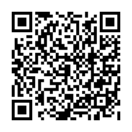 QR 6325390