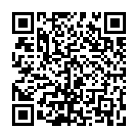 QR 6341242