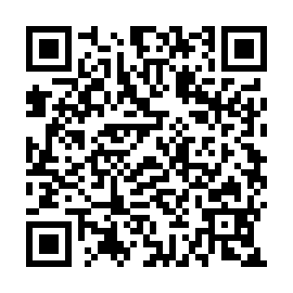 QR 6381ccb
