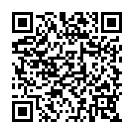 QR 63b8595