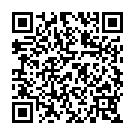 QR 63e033b