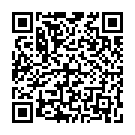 QR 63fa301