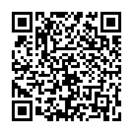 QR 646313b