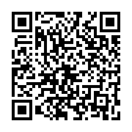 QR 650e824