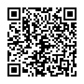 QR 65131ae