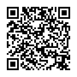 QR 6523299