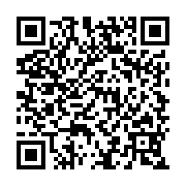 QR 6539095