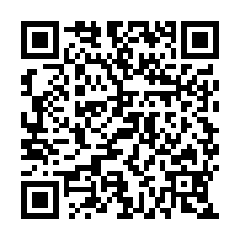QR 65a03f7