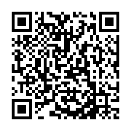 QR 65a29aa
