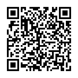 QR 65e2a63