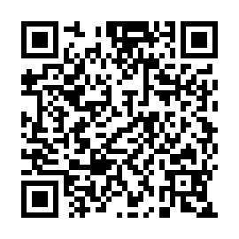 QR 65e394c
