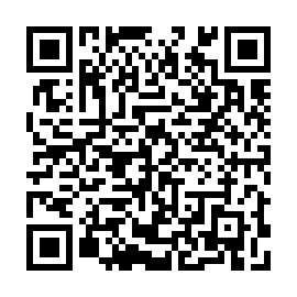QR 65e69b8