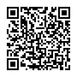 QR 65e9786