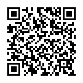 QR 67cf302