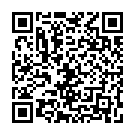 QR 689a731