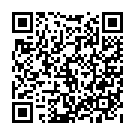 QR 691e335