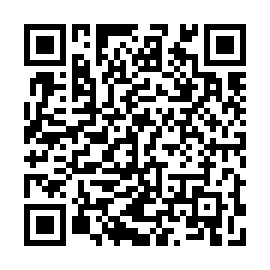QR 6ae5028