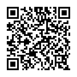 QR 6b663e3