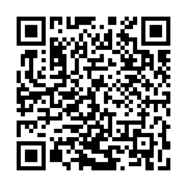QR 6e33038