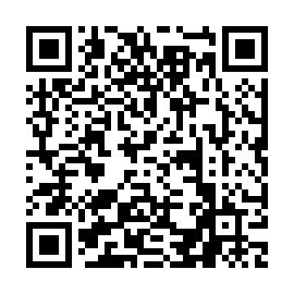 QR 6e595e0