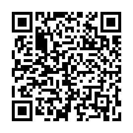 QR 7333a29