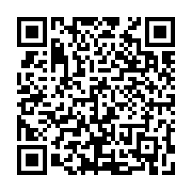 QR 74133ab