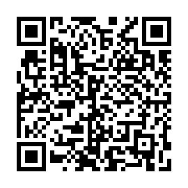 QR 771cc33