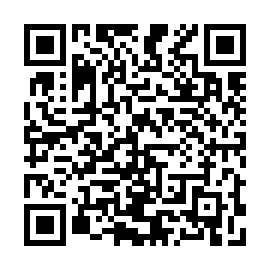 QR 773a538