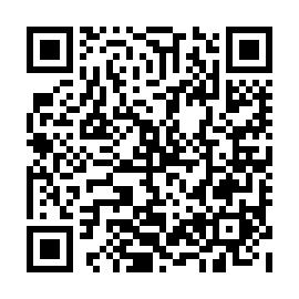 QR 786e333