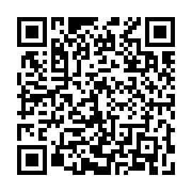 QR 803a328