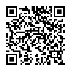 QR 804e331