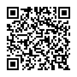 QR 8069541