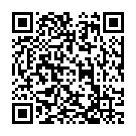 QR 807a919