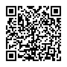 QR 8081e63