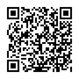 QR 80d4a17