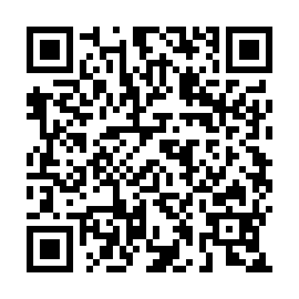 QR 810085b