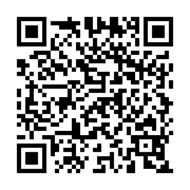 QR 8131161