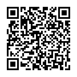 QR 8133303