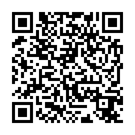 QR 81356e9