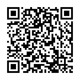 QR 8153a53