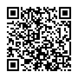 QR 817131b