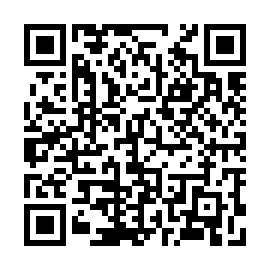 QR 81a3e06