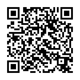 QR 81a4a6b