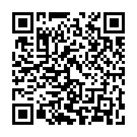 QR 81c2538