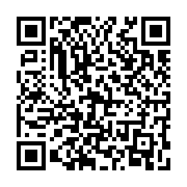 QR 81dd87d