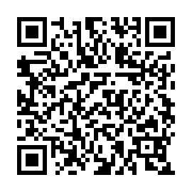 QR 81e13e2