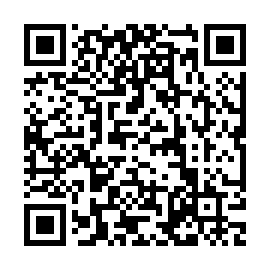 QR 81e246c