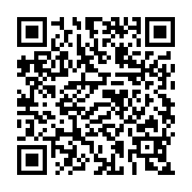 QR 81e38e2