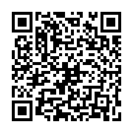 QR 8248381