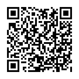 QR 8255295